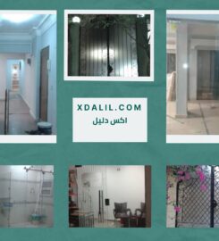 ال على للزجاج والبلور واعمال السيكوريت