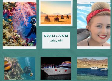Candia Tours