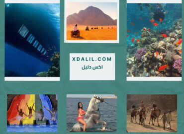 Candia Tours