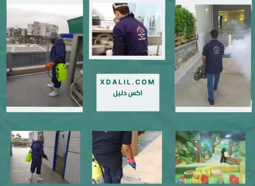 شركة تكنو ساند