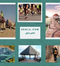Egypt Gift Tours