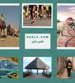 Egypt Gift Tours