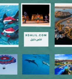 Shahin Tours Hurghada