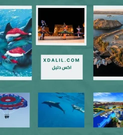 Shahin Tours Hurghada