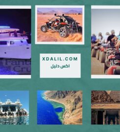 Vova Tours