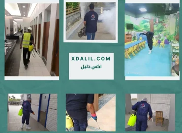 شركة تكنو ساند