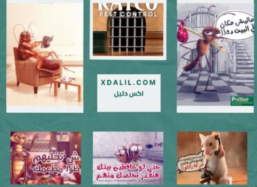 شركة راتكو