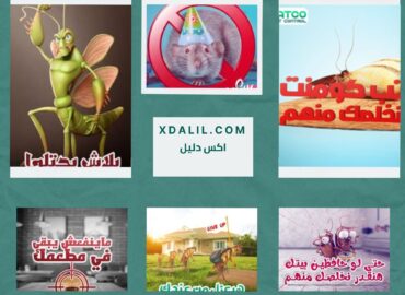 شركة راتكو