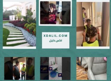 بلاتينيوم كلين لتنظيف المتكامل