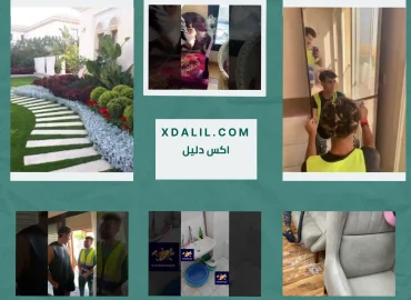 بلاتينيوم كلين لتنظيف المتكامل