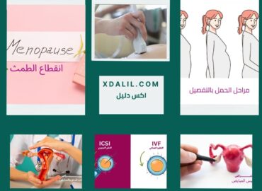 د.أحمد محب| كرمة كلينيك للنسا والتوليد والحقن المجهري