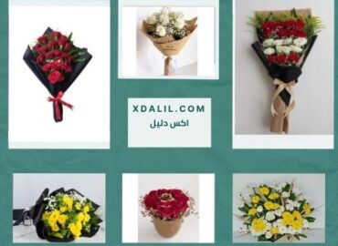 زهور هولندا