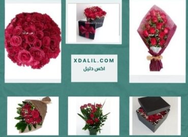 زهور هولندا