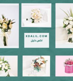 عاشقه الورد