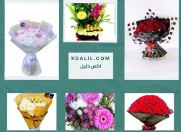 زهرة القاهرة