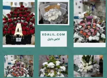 زهور روكسي