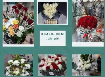 زهور روكسي