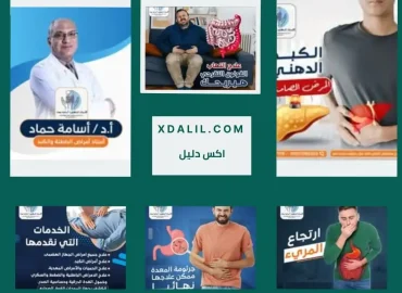 الأستاذ الدكتور أسامة حماد