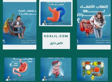 دكتورأشرف محمد زكى