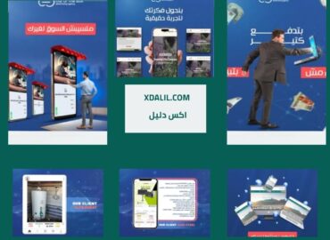 OFX Egypt