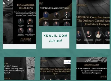 أدسيرو- راجي سليمان وشركاه-شركة مدنية للمحاماه