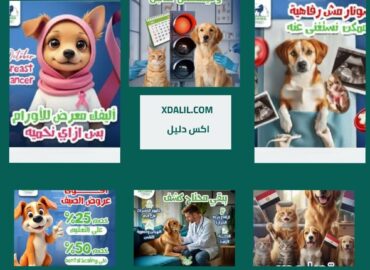 عيادة بيتزانيا