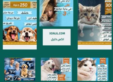 عيادة جو فت البيطرية
