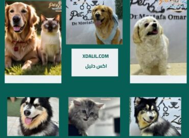 عيادة زينيا للحيوانات الأليفة بيطريه