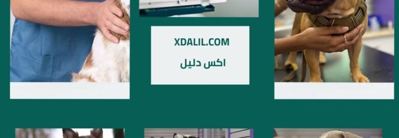 المركز البيطري الامريكي بشيراتون