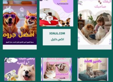عيادة بيتس بال البيطرية