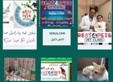 عيادة بيست فور بيتس البيطرية