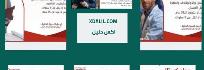 شركة الرواد العرب لتوظيف المصريين بالخارج