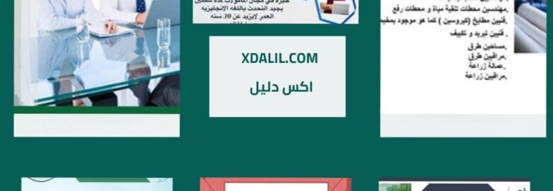 الشركة السعودية لإلتحاق العمالة المصرية بالخارج