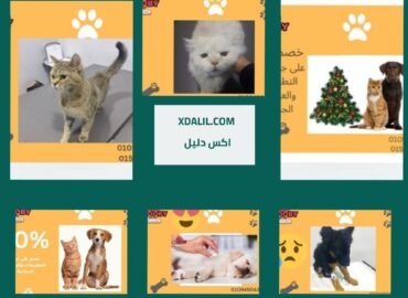 عيادة سكوبي للحيوانات الأليفة