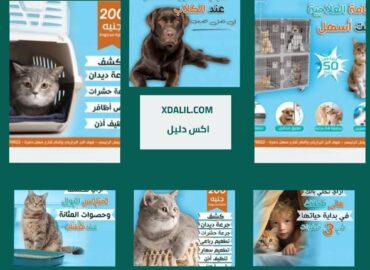 عيادة جو فت البيطرية