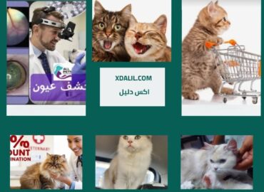 عيادة بيطرية لجميع الحيوانات الأليفة