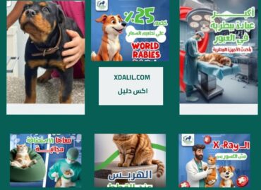عيادة بيتزانيا