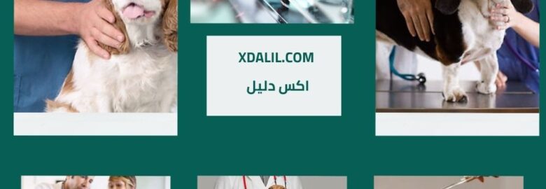 مستشفى كولومبيا البيطري – الشيخ زايد