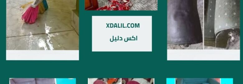 خدمات التنظيف للمحترفين