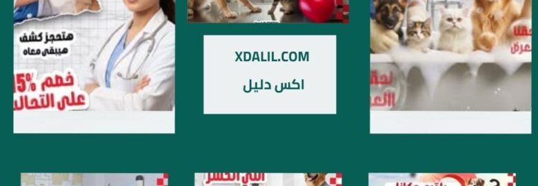 عيادة بت راشي البيطرية
