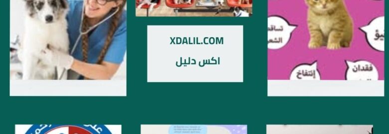 عيادة ايجى فيت البيطرية
