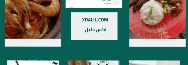 د/ شروق محمد ثابت