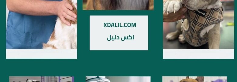 المركز الأمريكي لطب وجراحه الحيوان