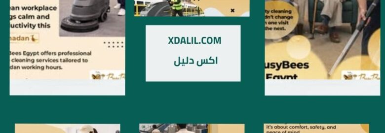 بيزي بيز مصر لخدمات التنظيف السكنية والتجارية