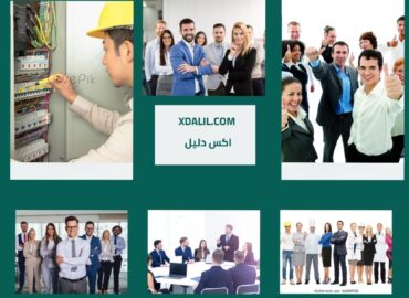 شركة أبناء الصعيد