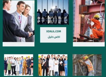 شركة أبناء الصعيد