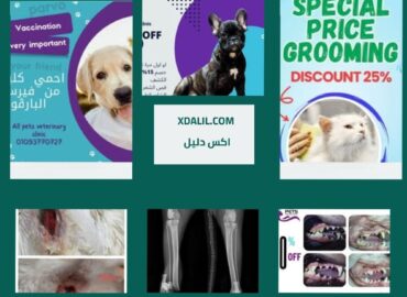 عيادة بيطرية لجميع الحيوانات الأليفة